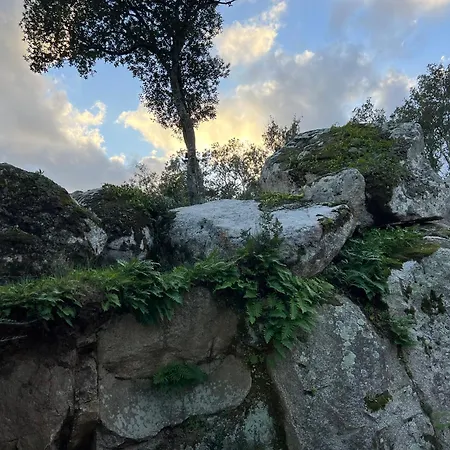 Umbria Di Vecchio*** Holiday home Porto-Vecchio (Corsica)