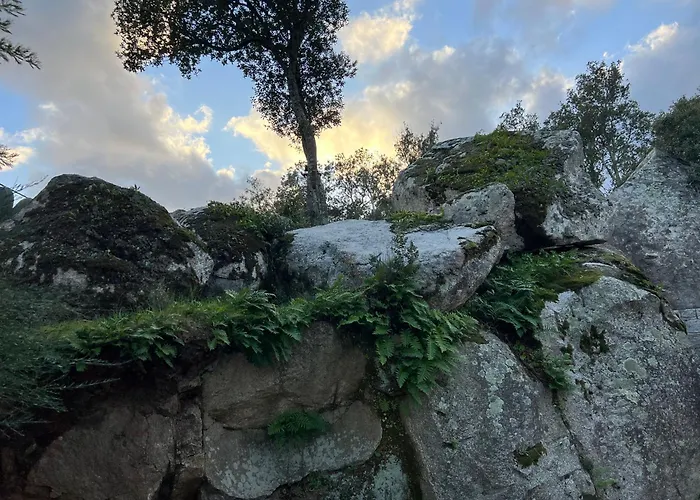 Umbria Di Vecchio*** Holiday home Porto-Vecchio (Corsica)